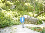 6603gt080-forest-1.jpg