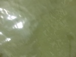 58306CIMG2754.JPG