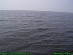 1496R0015197_tag.jpg