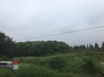 2017-09-12_03-31-45_6CFC56AD-8074-4EB9-BA50-EBC57CEAC77C.jpg