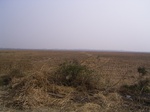 3117 050.jpg