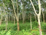 2012-09-26_20-48-13_CIMG1027.JPG