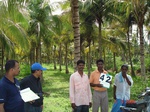 6249042b-irrigated-supplemental-minor-plantation-coconut-dominant.jpg