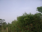 3810RIMG0114.JPG