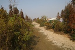 4491IMG_8425.jpg