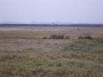 3317R0017351.JPG