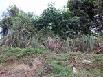 5549100_0936.JPG