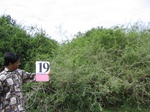 1043520-shrubland-iucna.gif