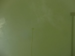 58241CIMG2688.JPG