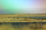 2022-01-21_16-37-42_4E8A6526.JPG
