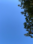 2020-11-02_11-39-51_2020-11-2-11-39-15.jpg