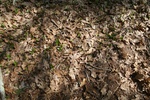 315IMG_3424.JPG