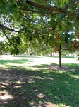2020-08-19_11-48-58_2020-8-19-10-18-41.jpg