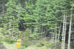 2018-04-14_14-51-51_2017-06-27 01.36.02.jpg