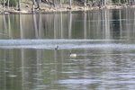 397IMG_3506.JPG