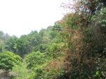 503320042008(69).JPG