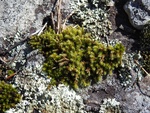 2017-06-12_12-55-17_DSCN3646.JPG