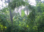 547511052008(45).JPG