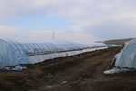 2017-05-12_17-56-34_2017-05-06 01.26.29.jpg