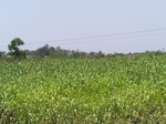 1764522042008(25).JPG