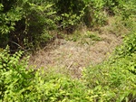 2017-06-12_12-50-22_DSCN3778.JPG