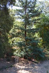2012-09-10_21-48-16_CA-SC-5-3.jpg