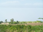 513422042008(74).JPG
