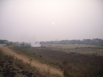 4689RIMG0204.JPG
