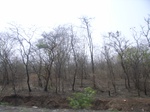 4022RIMG0326.JPG