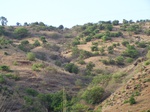 507720042008(150).JPG