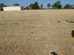 39232KIN220110809W.JPG