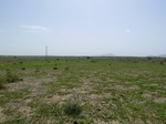 19242P1010088.JPG
