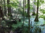 2012-10-19_23-46-59_SC-CR-57.JPG