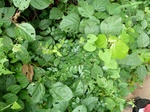 18241P1000077.JPG