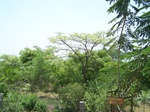 17321100_2007.JPG