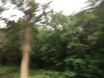 2017-09-12_03-27-44_E406BA63-F3CA-482D-B3D9-874F5C79DCCF.jpg