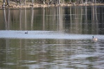 390IMG_3499.JPG