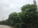 2017-09-10_07-07-23_B8200FA2-6303-4B93-9B23-791DF6BB85B7.jpg