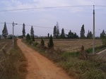 3283R0017317.JPG