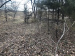 2020-10-30_10-44-36_Lake Arcadia Feb 15_2020_Wood_West.jpg
