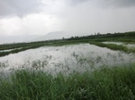 2012-09-07_10-14-09_CIMG6684.JPG