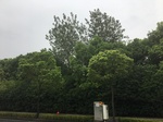 2017-09-10_07-00-08_4AF9513F-4188-44A8-90A1-6D70C84DF678.jpg
