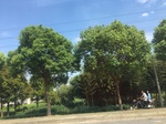 2017-09-12_13-54-06_654D6032-B24F-48A7-BA7B-3DB29E124665.jpg