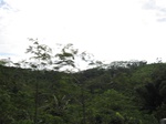 16312IMG_5086.JPG