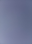 2020-11-03_08-32-13_2020-11-3-8-28-54.jpg