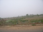 3925RIMG0229.JPG