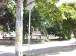 5588100_0991.JPG