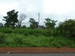 20890P1020756.JPG