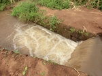 2012-09-07_10-19-59_CIMG6728.JPG
