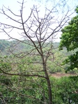 1728020042008(63).JPG